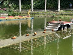 -西双版纳原始森林公园