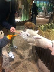 点击看大图 -宝燕乐园(闵行旗舰店)