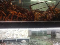 -甄御•海鲜新青岛菜(麦岛店)