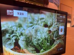 -巴奴毛肚火锅(七宝领展广场店)