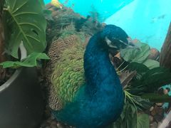 -核客电玩城(东门店)