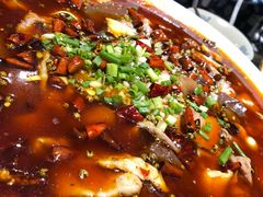 -庆合府重庆大排档(紫都城店)