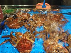 -船歌·鱼水饺青岛菜(闽江二路店)