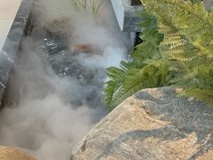 -老头儿油爆虾(星光一期店)