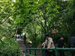 -王顺山国家森林公园