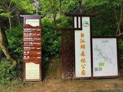 -广州白江湖森林公园