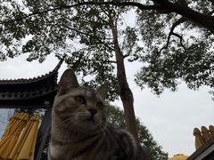 -东钱湖小普陀景区