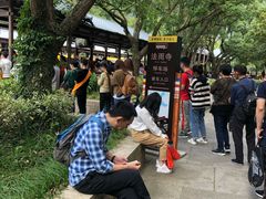 -普陀山风景名胜区-法雨禅寺