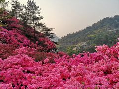 -木兰云雾山