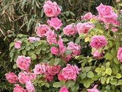 -下沉广场(羊坊店街道)