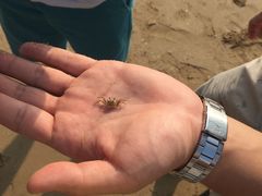 -厦门高崎国际机场-T3航站楼