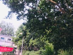 -北京市朝阳区正源新亚学校