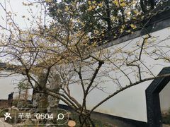 -上海醉白池公园