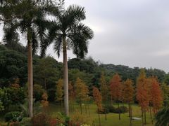 -云溪植物园