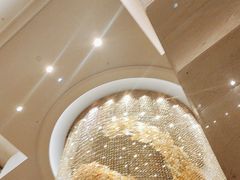 -郑州美盛喜来登大酒店