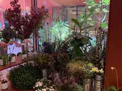 -二酉书店TOYOU BOOKS