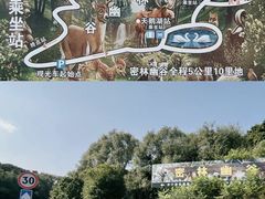 -沈阳森林动物园