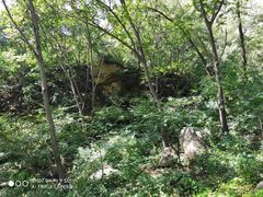 -大岭沟猕猴桃谷风景区