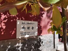 -红螺寺