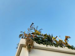 -悦哉·派对·草坪婚礼·围炉煮茶(三圣乡店)