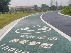 -王借岗森林公园