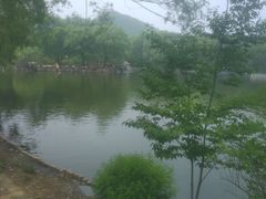 -石家庄市动物园