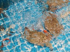 -好兄弟郭巨海鲜(天一阁店)