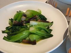 鲜鸡枞菌炒小唐菜-悦融·京鲁菜·露台花园(安定门店)