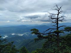 -瓦屋山景区