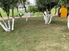 -府河摄影公园