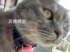 -宠福鑫动物医院(立水桥分院)