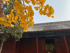-大钟寺古钟博物馆