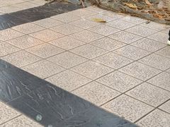 -晓港公园