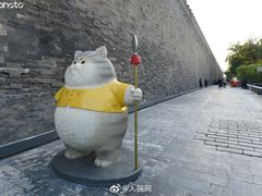 -北京观赏动物医院·24小时大型综合·猫专科·异宠专科