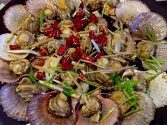 前海沿儿-鲁前海沿儿