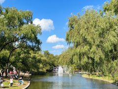 -上海共青森林公园