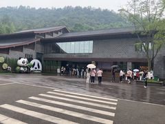 -都江堰中华大熊猫苑