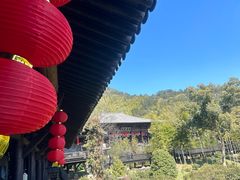 -大唐贡茶院