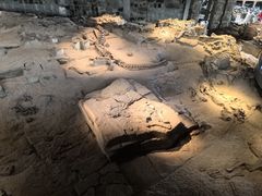 -自贡恐龙博物馆