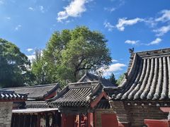 -晋祠公园