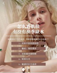 点击看大图 -玛莲朵·海菲秀冰珀科