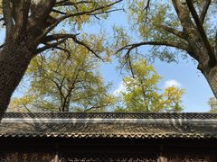 -镇江市南山风景名胜区竹林景区