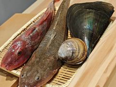 -镹·鱼料理  国产鱼使用店