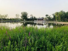-西海子公园