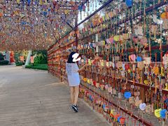 -七彩云南欢乐世界