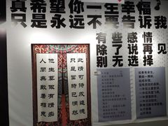 -深圳失恋博物馆再见前任(汇商名苑店)