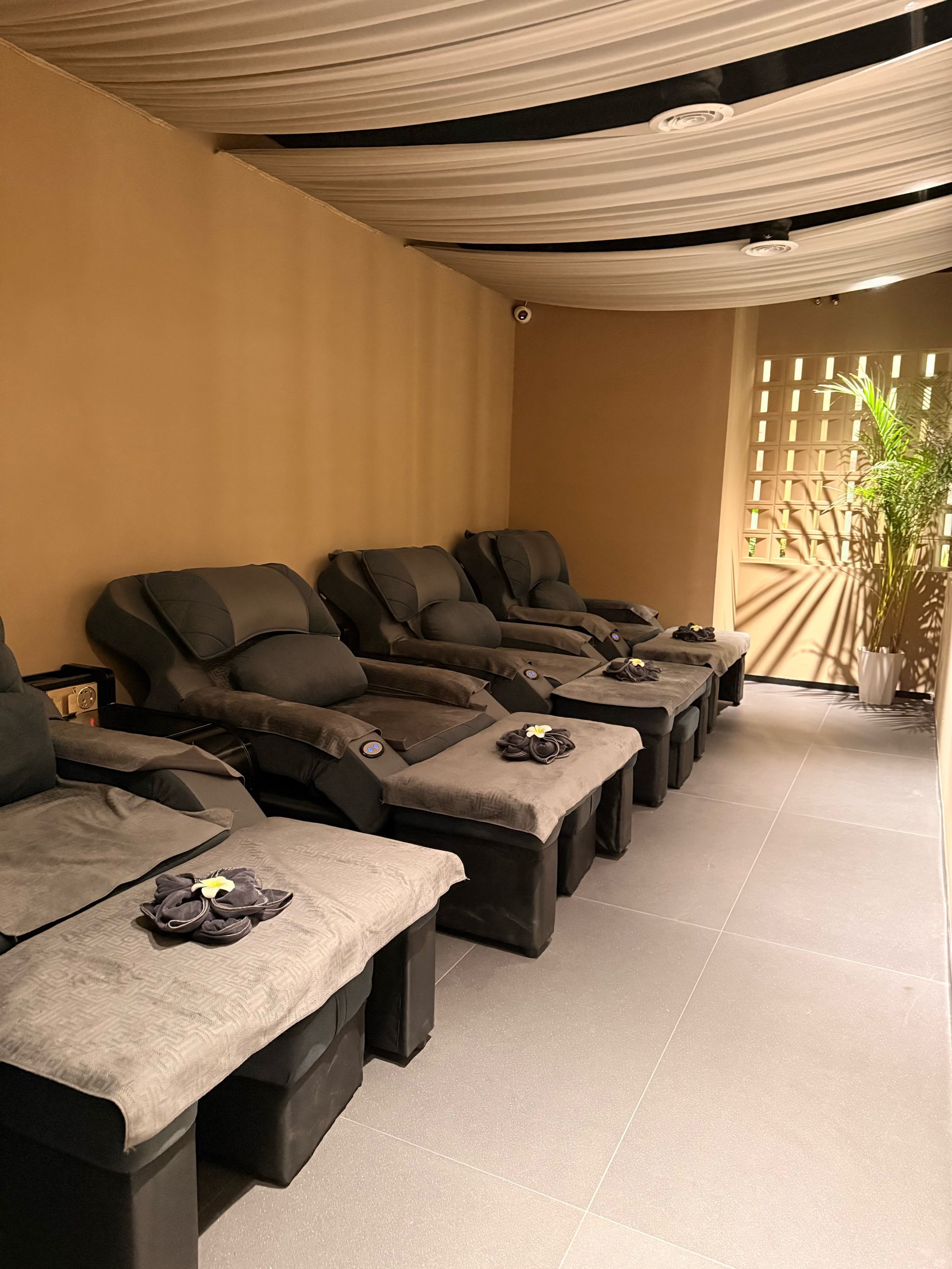 又是舒服的一天