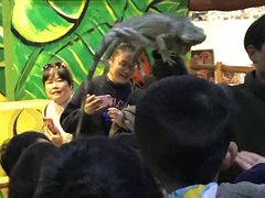 -上海大自然野生昆虫馆(东方明珠·爬宠昆虫探索中心)