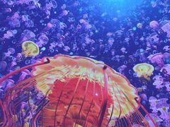 -海合安青岛极地海洋公园