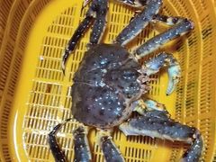 -马王堆海鲜水产市场